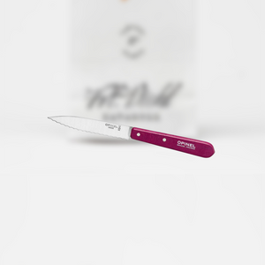 Opinel Küchenmesser Nr.113